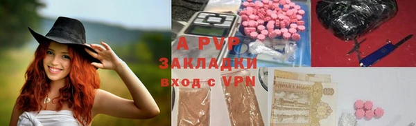шишки Алапаевск
